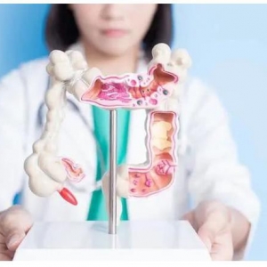 腹腔镜下造口旁疝修补术——疝和腹壁外科专家赵凤林科普系列